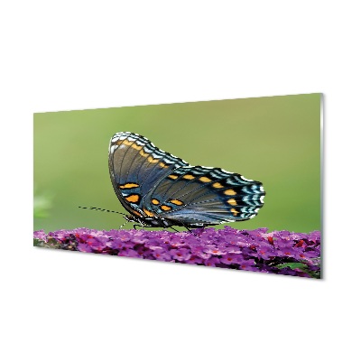 Stiklo paveikslas Spalvingas drugelis ant gėlių