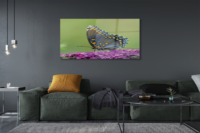 Stiklo paveikslas Spalvingas drugelis ant gėlių