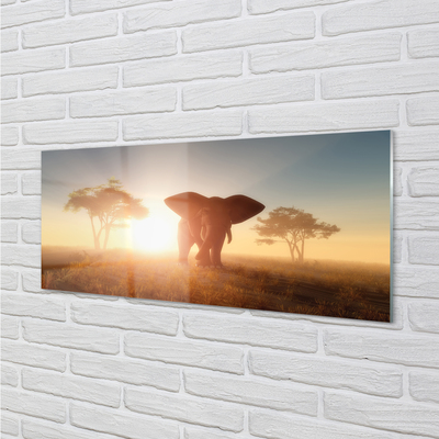Stiklo paveikslas Dramblio medžio saulėtekis