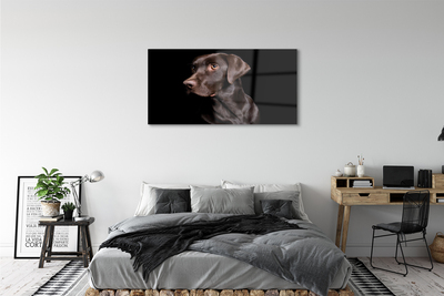 Stiklo paveikslas Rudas šuo