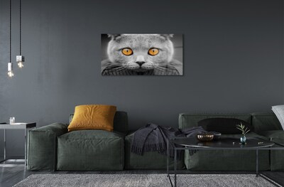 Stiklo paveikslas Britų pilka katė