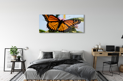 Stiklo paveikslas Spalvingas drugelis