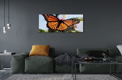 Stiklo paveikslas Spalvingas drugelis