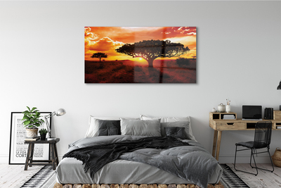 Stiklo paveikslas Medžiai debesys saulėlydis