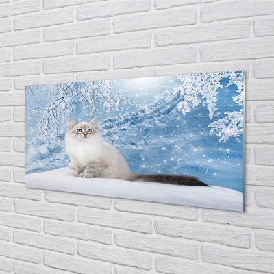 Stiklo paveikslas Katė žiemą