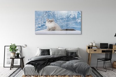 Stiklo paveikslas Katė žiemą