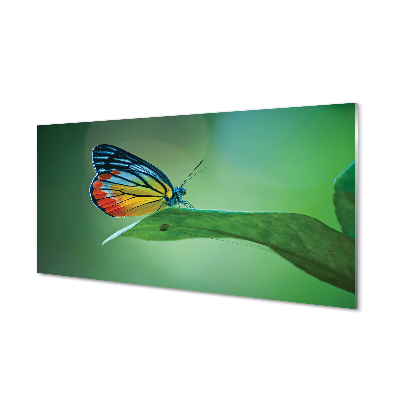 Stiklo paveikslas Spalvingas lapinis drugelis