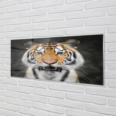 Stiklo paveikslas Tigras