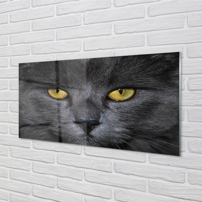 Stiklo paveikslas Juoda katė