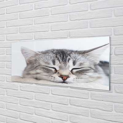 Stiklo paveikslas Mieganti katė