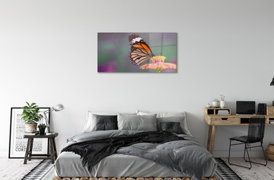 Stiklo paveikslas Spalvinga drugelio gėlė