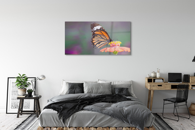 Stiklo paveikslas Spalvinga drugelio gėlė