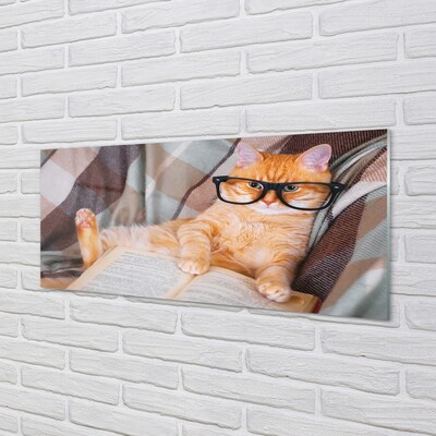 Stiklo paveikslas Skaitanti katė