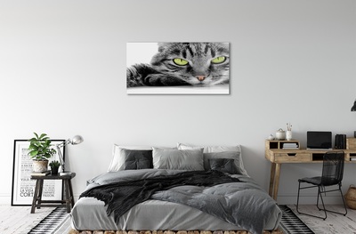 Stiklo paveikslas Pilka ir juoda katė