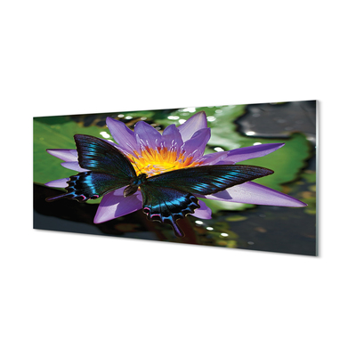 Stiklo paveikslas Drugelio gėlė