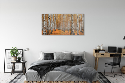 Stiklo paveikslas Rudens medžiai