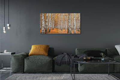 Stiklo paveikslas Rudens medžiai