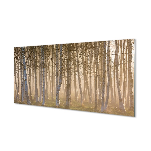 Stiklo paveikslas Saulėtekio miško medžiai