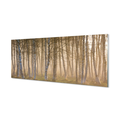 Stiklo paveikslas Saulėtekio miško medžiai
