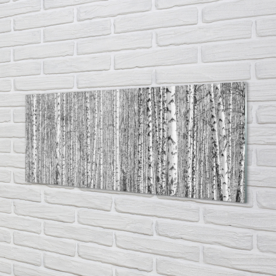 Stiklo paveikslas Juodai balti miško medžiai