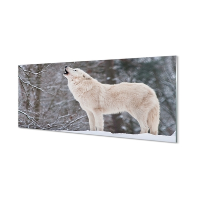 Stiklo paveikslas Žiemos miško vilkas