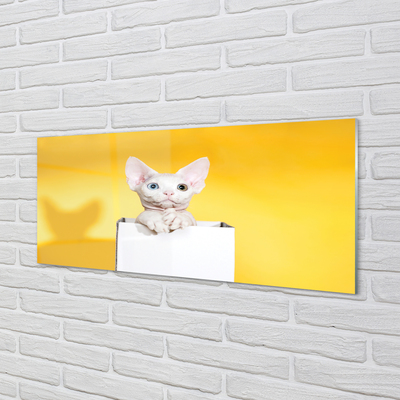 Stiklo paveikslas Sėdi katė