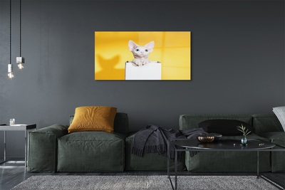 Stiklo paveikslas Sėdi katė