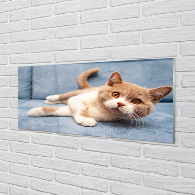 Stiklo paveikslas Guli katė