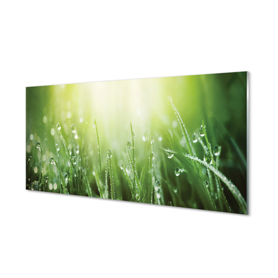 Stiklo paveikslas Saulės žolės lašai