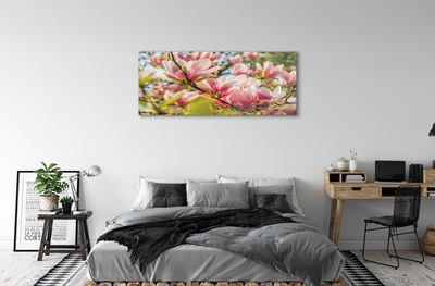 Stiklo paveikslas Rožinė magnolija