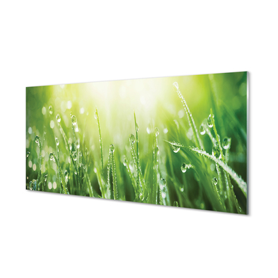 Stiklo paveikslas Saulės žolės lašai