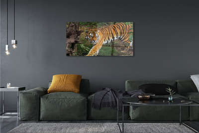 Stiklo paveikslas Miško tigras