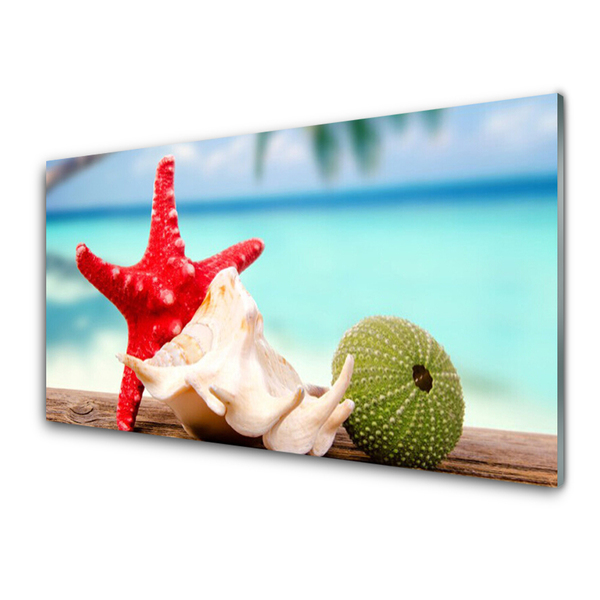 Stiklo paveikslas Jūros kriauklės Starfish Art