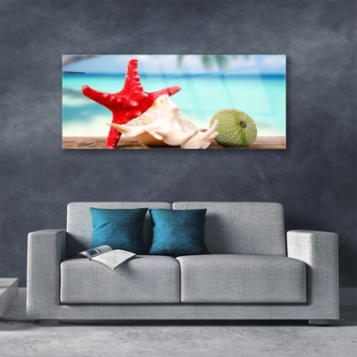 Stiklo paveikslas Jūros kriauklės Starfish Art