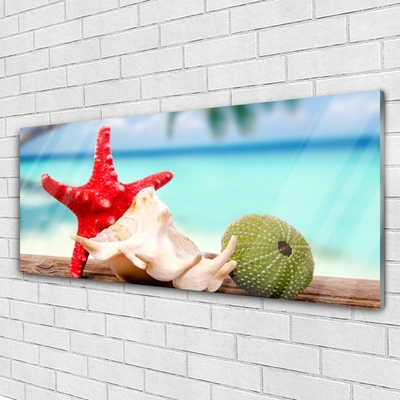 Stiklo paveikslas Jūros kriauklės Starfish Art