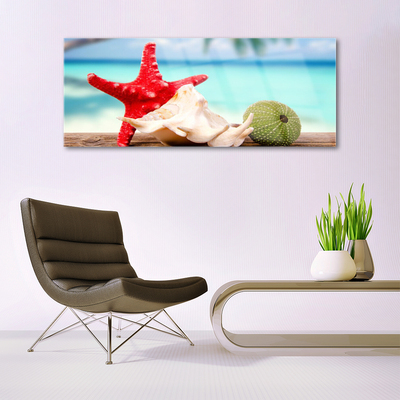 Stiklo paveikslas Jūros kriauklės Starfish Art
