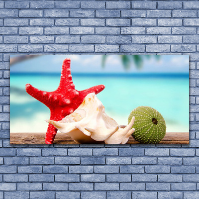 Stiklo paveikslas Jūros kriauklės Starfish Art