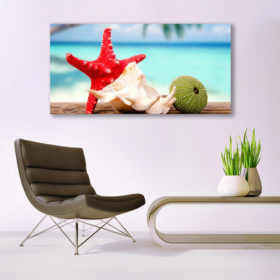 Stiklo paveikslas Jūros kriauklės Starfish Art