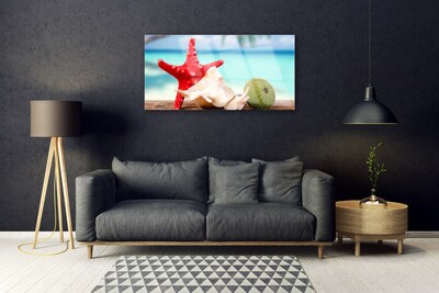 Stiklo paveikslas Jūros kriauklės Starfish Art