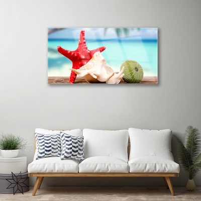 Stiklo paveikslas Jūros kriauklės Starfish Art