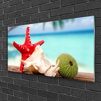 Stiklo paveikslas Jūros kriauklės Starfish Art