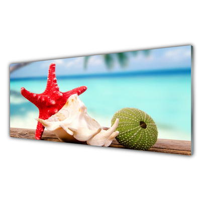 Stiklo paveikslas Jūros kriauklės Starfish Art