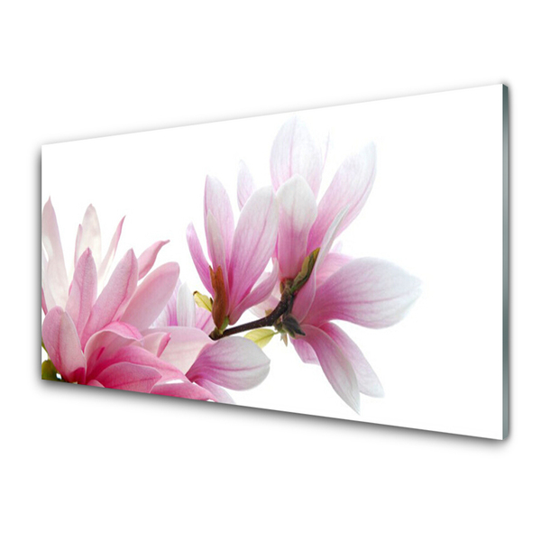 Stiklo paveikslas Magnolijos gėlė
