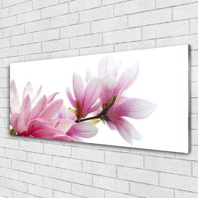 Stiklo paveikslas Magnolijos gėlė