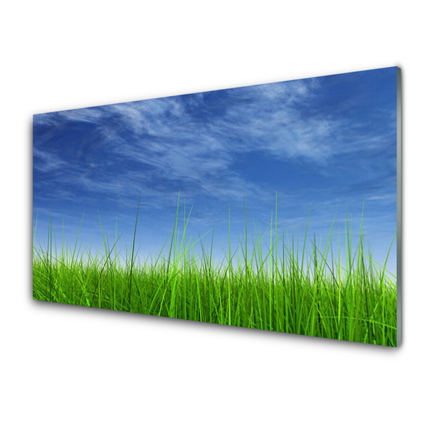 Paveikslas is stiklo Sky Grass gamtos augalas