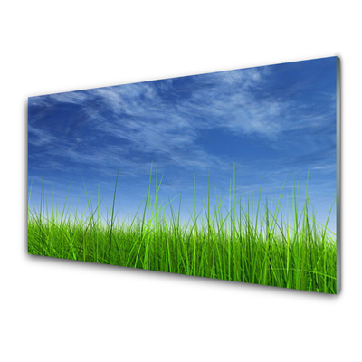 Paveikslas is stiklo Sky Grass gamtos augalas