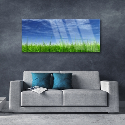 Paveikslas is stiklo Sky Grass gamtos augalas