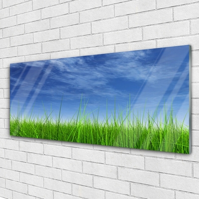 Paveikslas is stiklo Sky Grass gamtos augalas