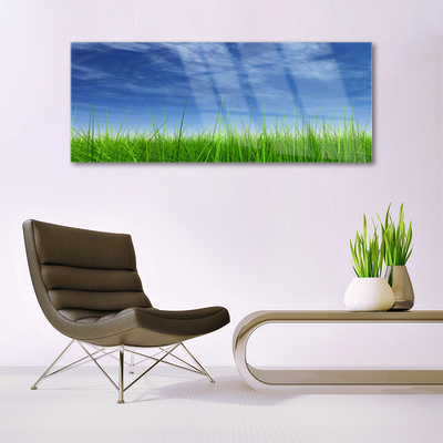 Paveikslas is stiklo Sky Grass gamtos augalas