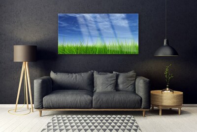 Paveikslas is stiklo Sky Grass gamtos augalas